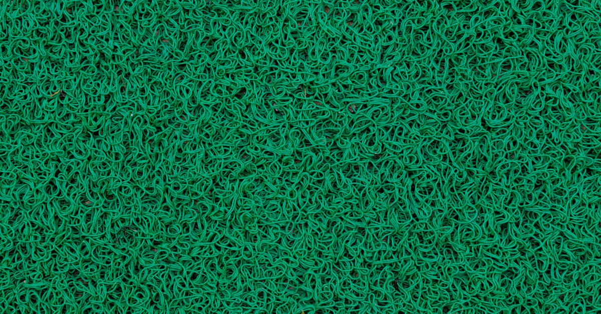 Assessing Soil Conditions Before Synthetic Turf Installation