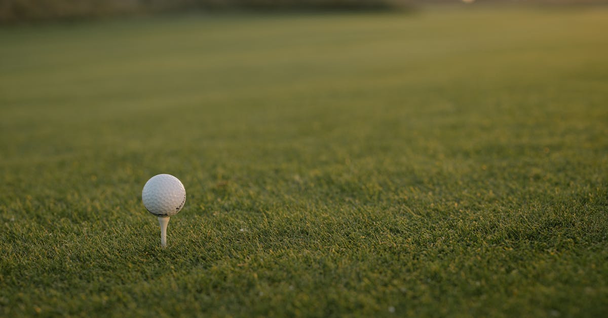 Avoiding Common Hazards in Synthetic Turf Installation