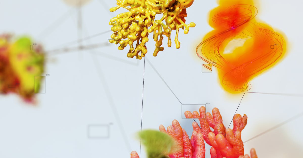 Benefits of High-Quality Infill for Longevity of Synthetic Turf