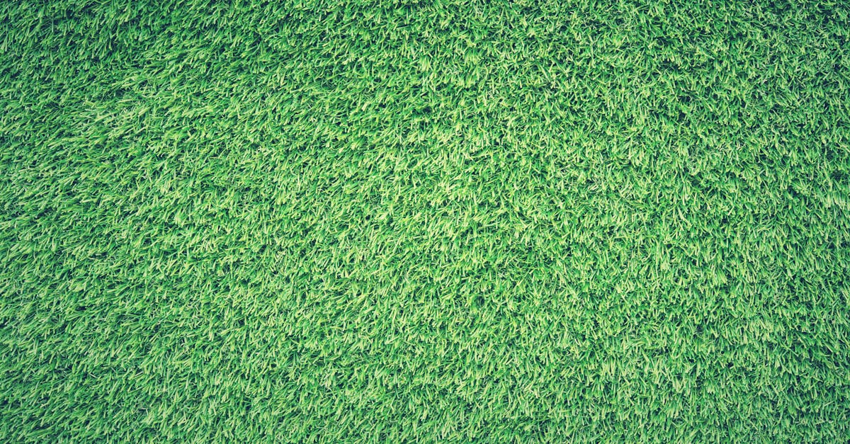 Customising Synthetic Turf to Suit Your Gold Coast Landscape