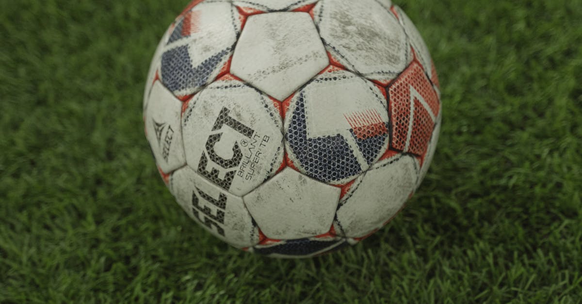 DIY Guide to Long-lasting Synthetic Turf Care