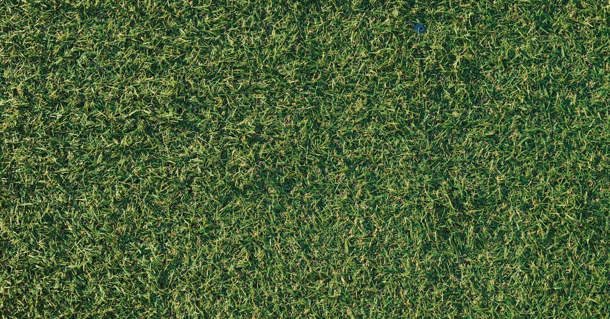 How Synthetic Turf Promotes Child Safety in Recreational Areas