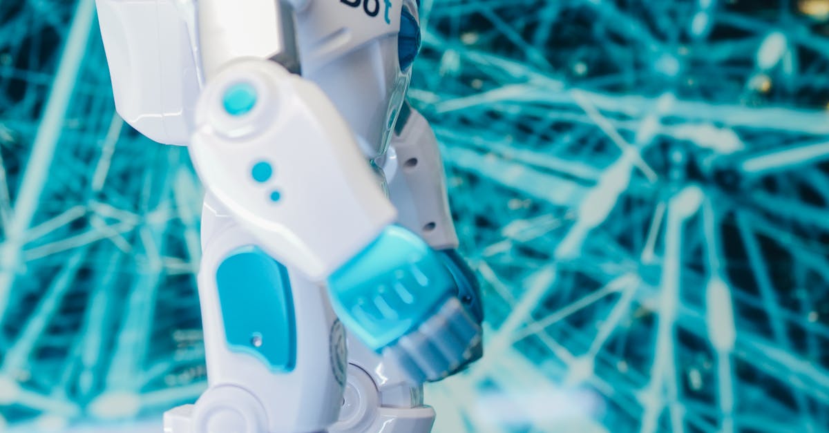 Managing Moisture Levels in Synthetic Grass Throughout the Seasons