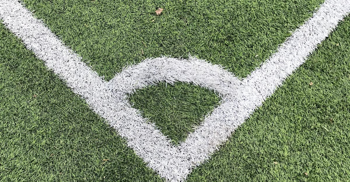 Routine Maintenance Practices for Long-lasting Synthetic Turf Cleanliness