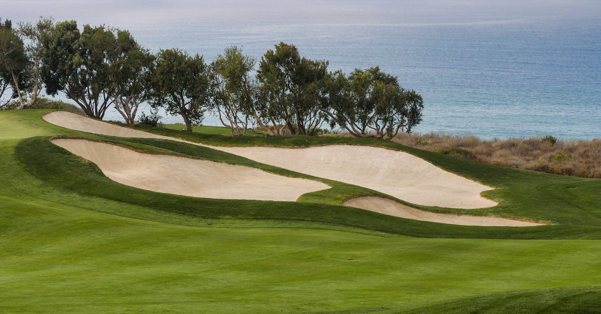 The Dos and Don’ts of Long-term Synthetic Turf Maintenance