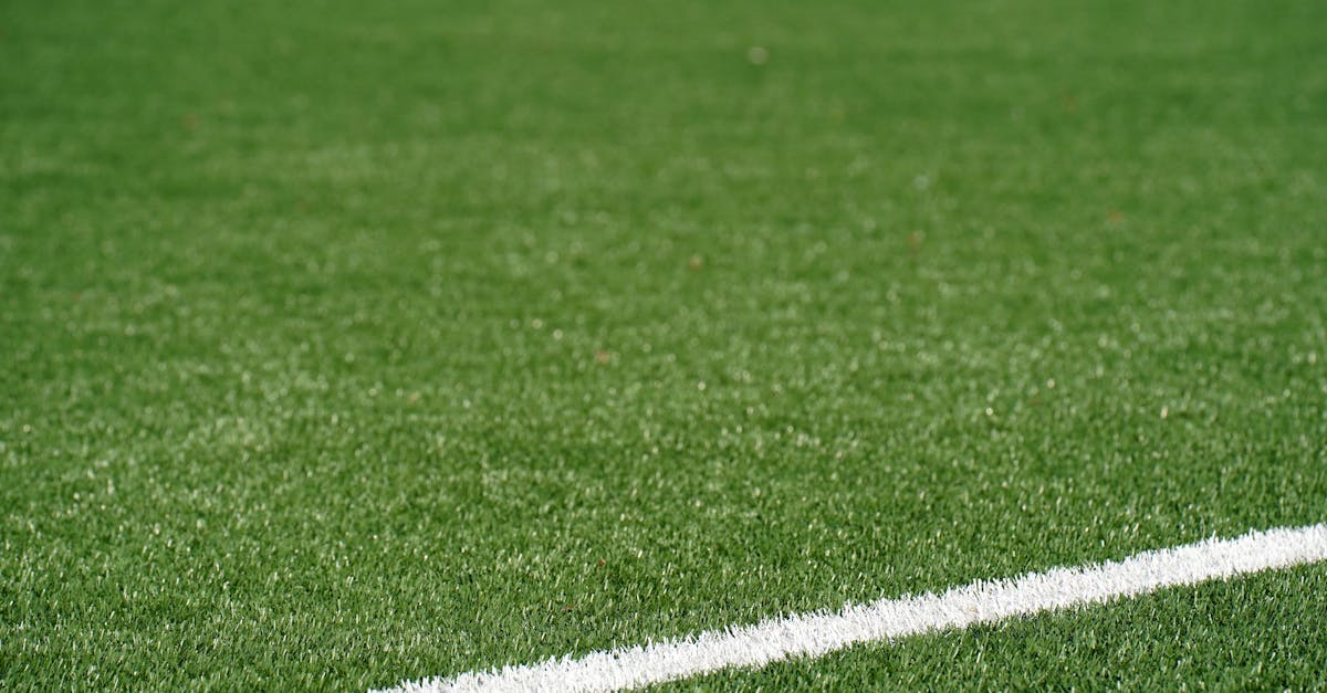 The Economic Benefits of Low-Maintenance Turf Options