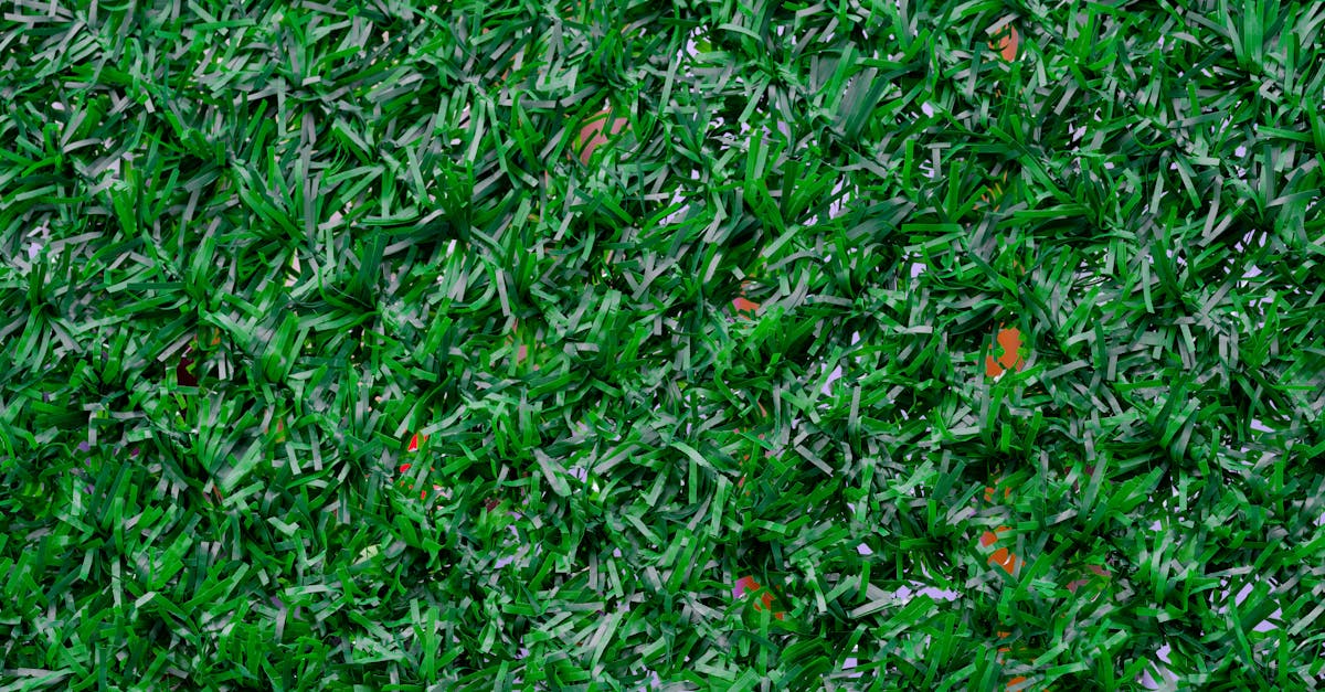 Tips for Maintaining a Pristine Look on Synthetic Grass