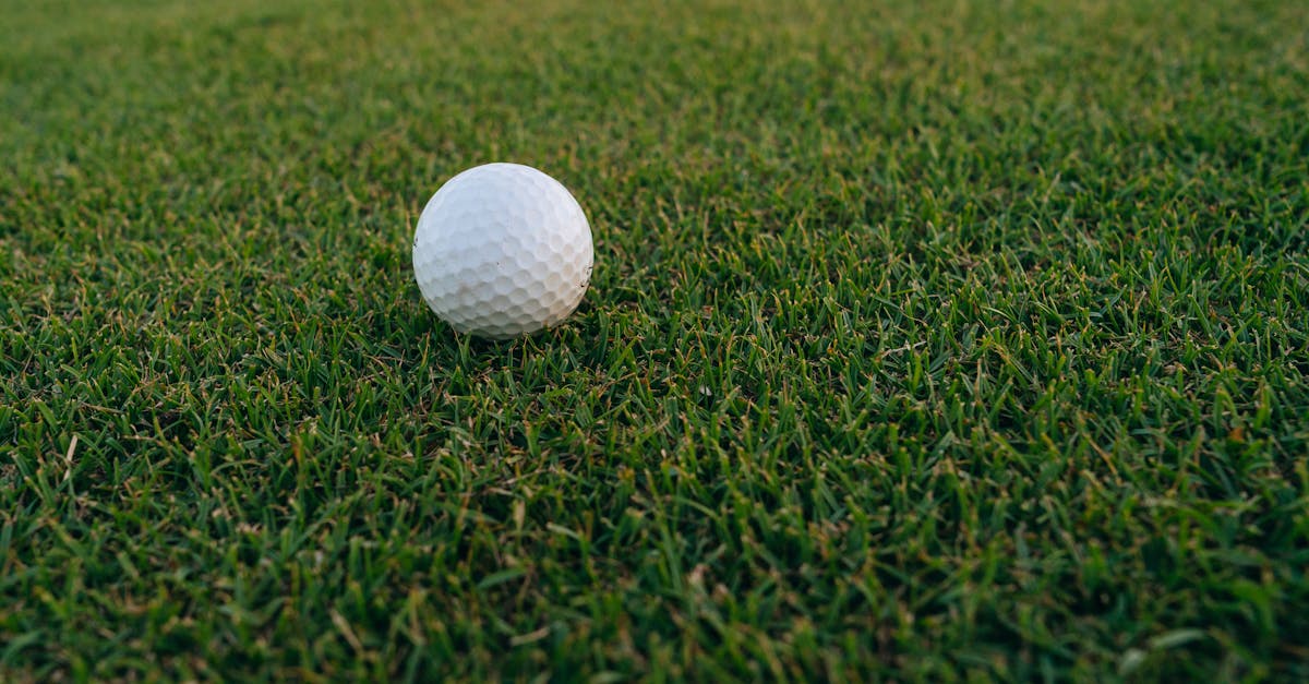 Troubleshooting Uneven Surface Problems in Synthetic Grass