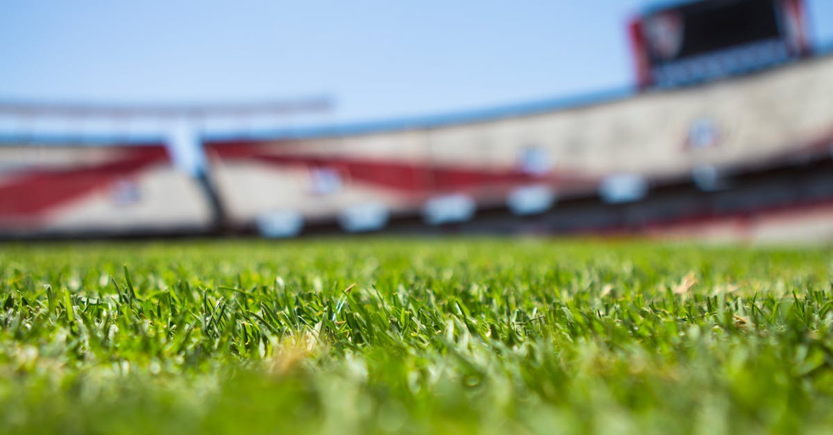 Understanding the Financial Advantages of Synthetic Turf Installation