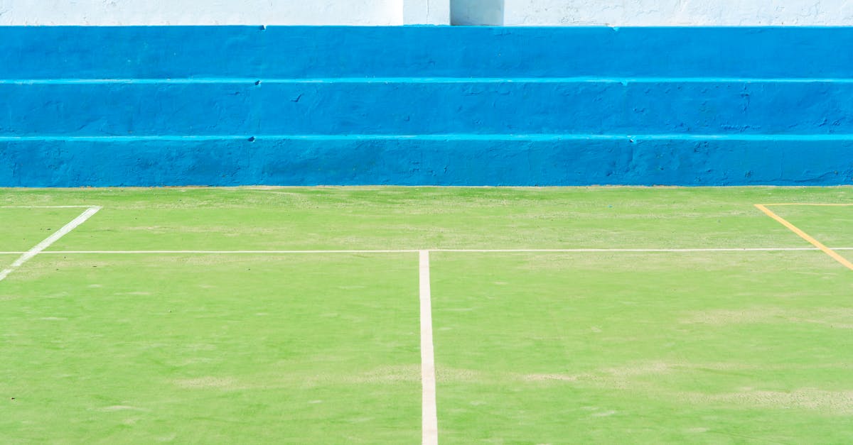 Wear and Tear: Factors Affecting Durability of Synthetic Turf